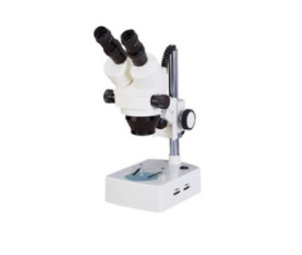 1648618446898132.png 1648618446898132.png